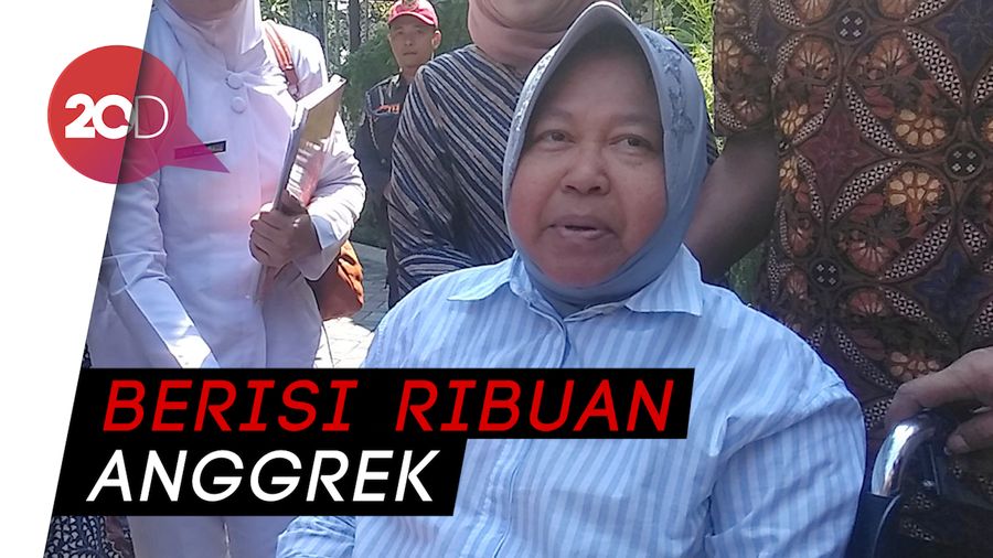 Melihat Eks Lokalisasi yang Disulap Risma Jadi Kebun Anggrek