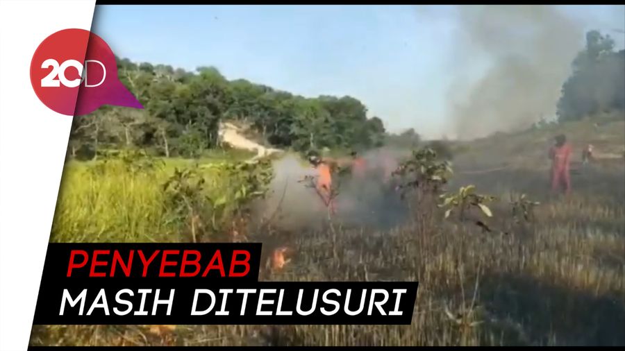 Savana Taman Nasional Rawa Aopa Watumohai Sultra Terbakar