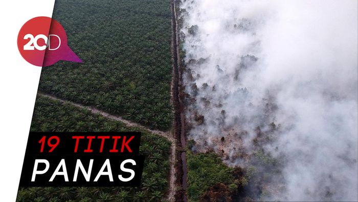 Potret Kebakaran Lahan di Jambi