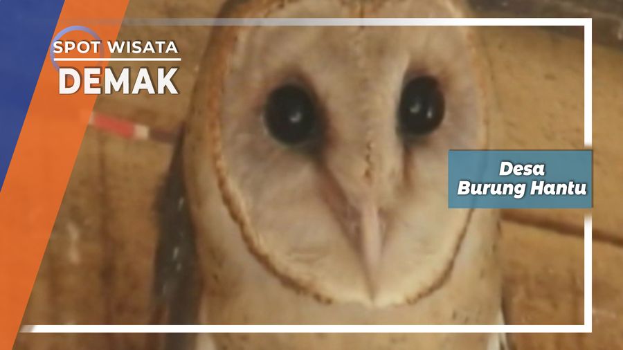 Desa Burung Hantu, Demak