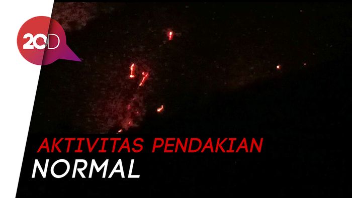 Kawasan Hutan TWA Kawah Ijen Terbakar