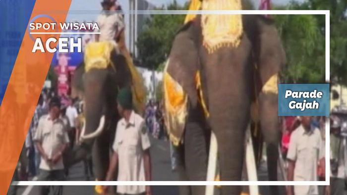 Parade Gajah Aceh