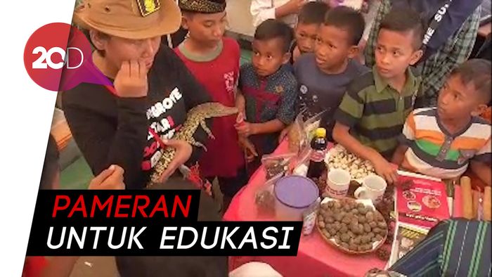 Hih! Pameran Reptil di Sulbar Bikin Pengunjung Ketakutan