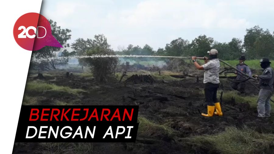 Kebakaran Lahan di Pelalawan: 11 Hari Dipadamkan, Api Masih Membara