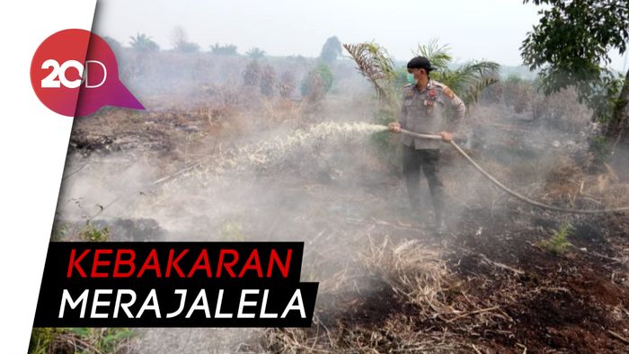 Perang Melawan Amukan Api di Rimba Riau