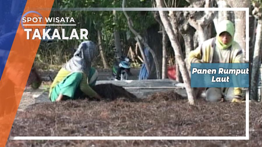 Botol - Botol Plastik Di Bibir Laut Takalar Bukan Sampah Desa Ujung Baji