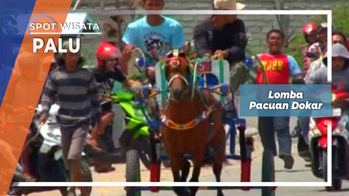 Lomba Pacu Dokar Palu