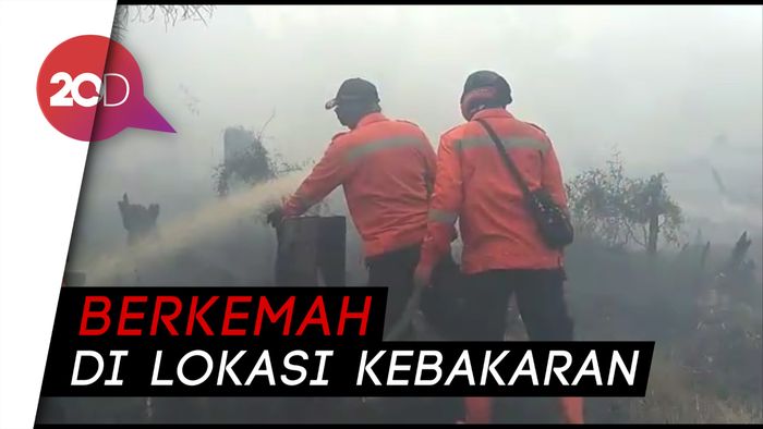 150 Anggota TNI AD Dikerahkan Padamkan Kebakaran Hutan di Pelalawan