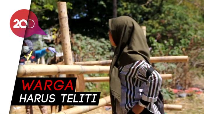 Waspada! 100 Sapi Kurban Ditemukan Tidak Layak di Makassar