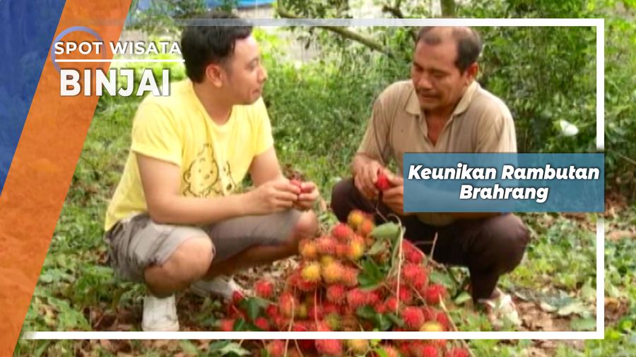 Perbedaan Rambutan Brahrang, Binjai