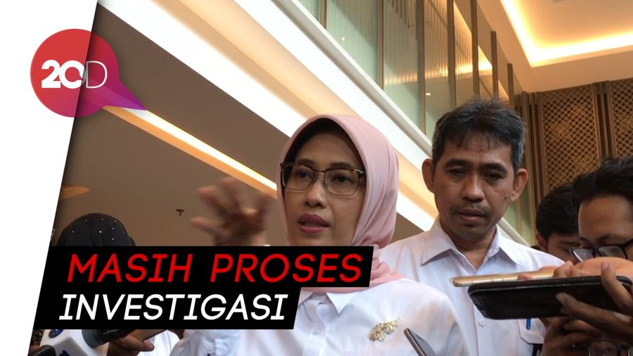 Penyebab Listrik Mati, PLN: Bisa Kena Layangan atau Dahan Pohon