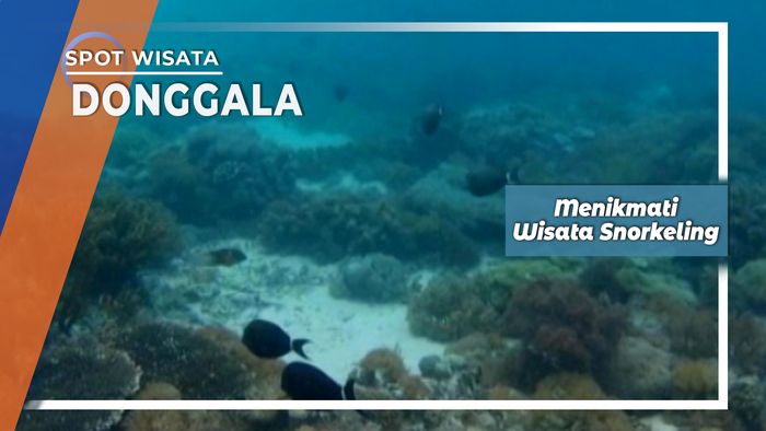 Menikmati Wisata Snorkeling, Donggala