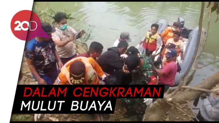 Menegangkan! Evakuasi Petani yang Tewas Dimangsa Buaya