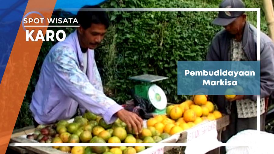 Pembudidayaan Markisa, Karo     