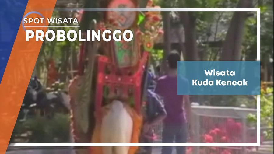 Kuda Kencak, Kuda Hias Pantai Bentar Probolinggo