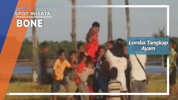 Lomba Tangkap Ayam, Bone