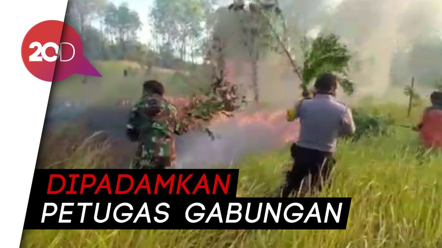Karhutla Terjadi Lagi di Konawe, 98 Hektare Lahan Hangus