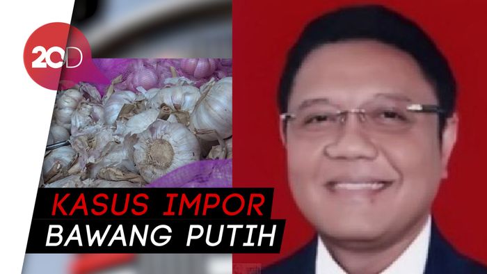 Kena OTT KPK, Nyoman Dhamantra Akan Dipecat PDIP 