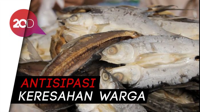 Viral Ikan Asin Berformalin di Mamuju, Petugas Langsung Sidak!