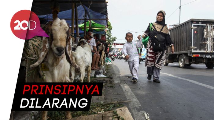 Anies Minta Walikota Urus Lapak Hewan Qurban di Trotoar