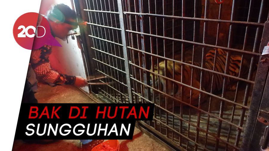 Anti Mainstream! Berpetualang di Bunbin Banjarnegara Saat Malam Hari