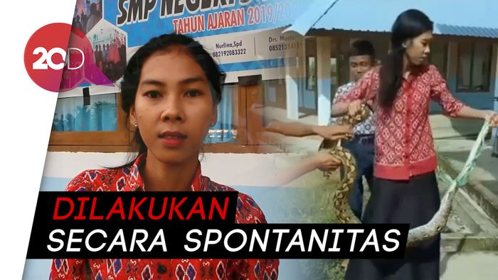 Modal Nekat! Cerita Guru yang Viral Tangkap Ular Piton