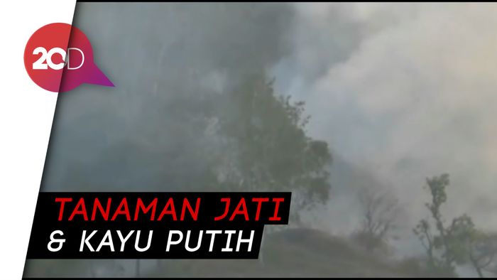 Duh... Tiga Hektare Hutan Lindung di Ponorogo Terbakar