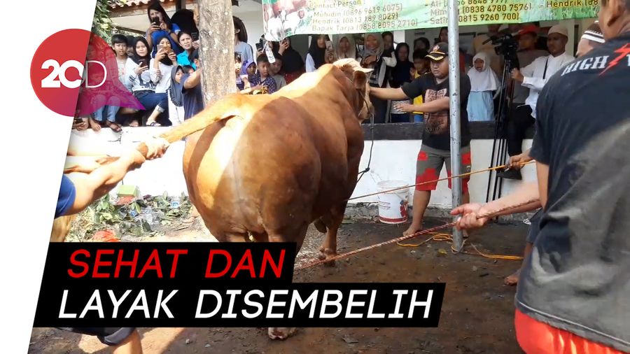 Anies: Mayoritas Hewan Kurban di DKI Sehat