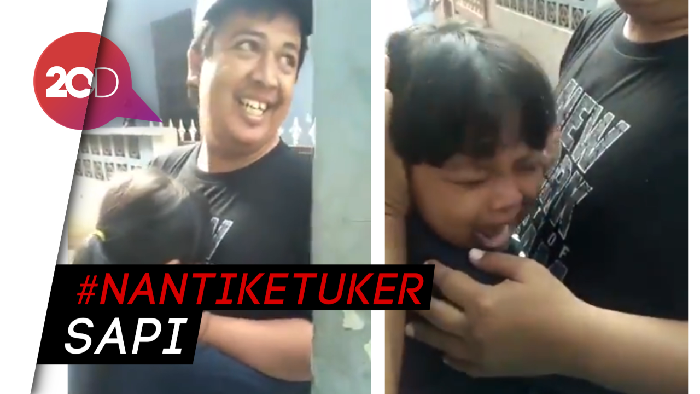 Ketika Anak Takut Ayahnya Tertukar Sapi Viral di Medsos