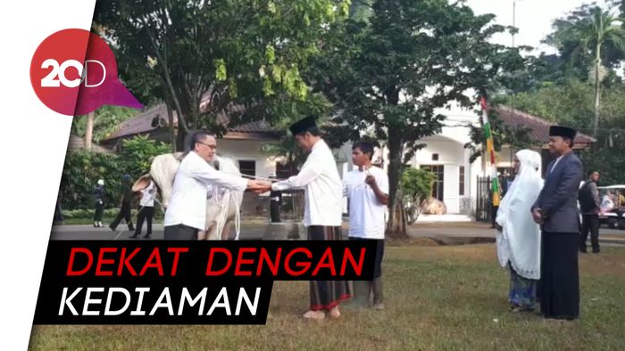 Salat Idul Adha di Kebun Raya Bogor, Jokowi Serahkan Sapi