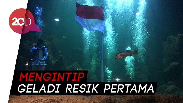 Aaliyah Massaid Bakal Jadi Paskibra di Tengah Ikan Pari hingga Ikan Karang