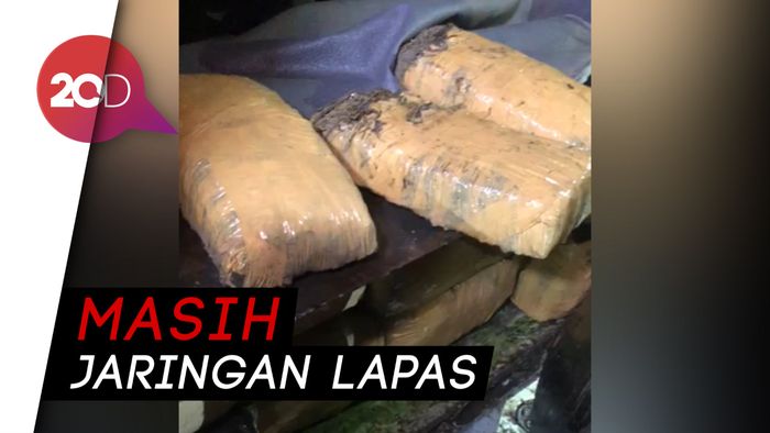 BNN Kembali Sita 500 Kg Ganja di Tj Priok
