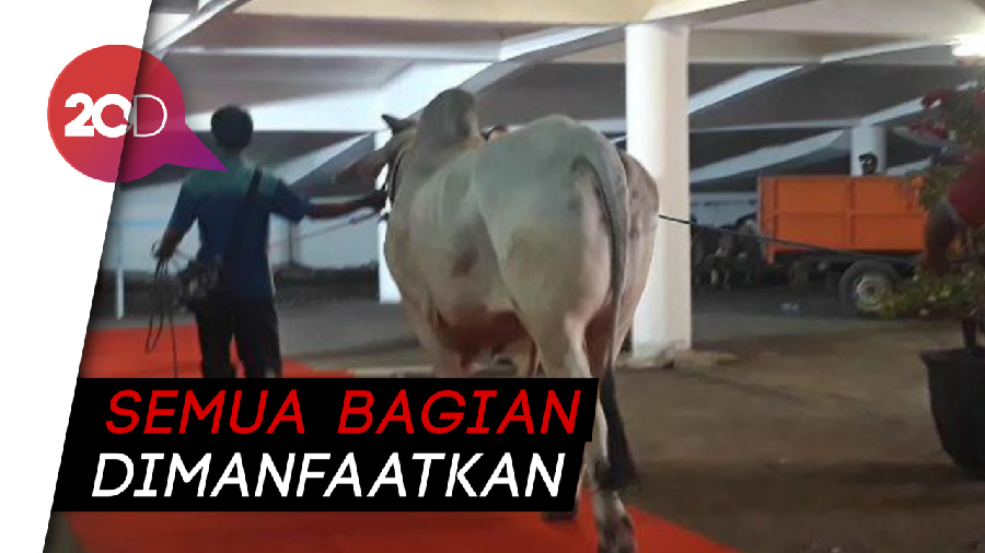 Kurban Tanpa Limbah di Masjid Al Akbar Surabaya