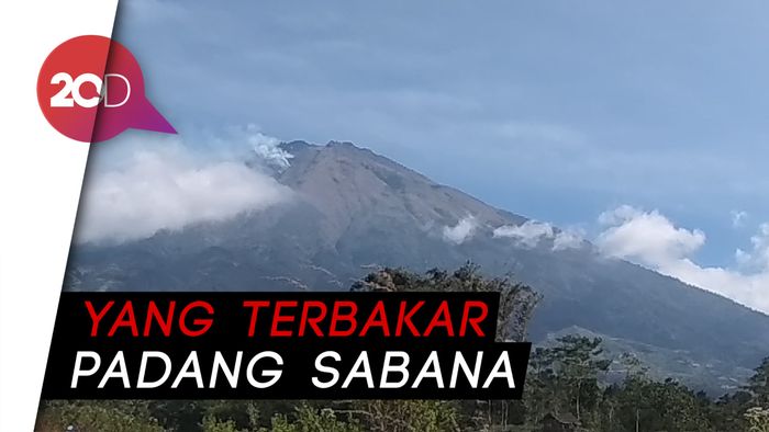 Api Lereng Sumbing Masih Menyala, 30 Ha Lahan Terbakar