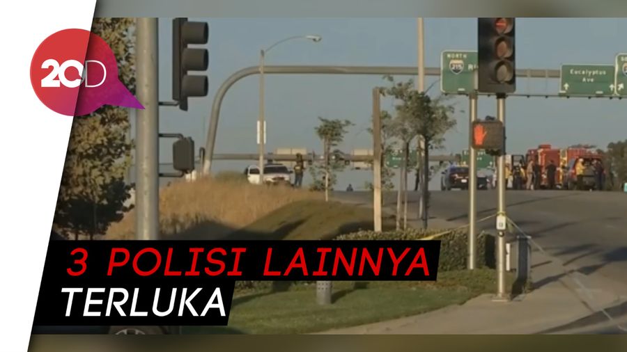 Dor! Polisi AS Tewas Ditembak Sopir Truk Saat Patroli