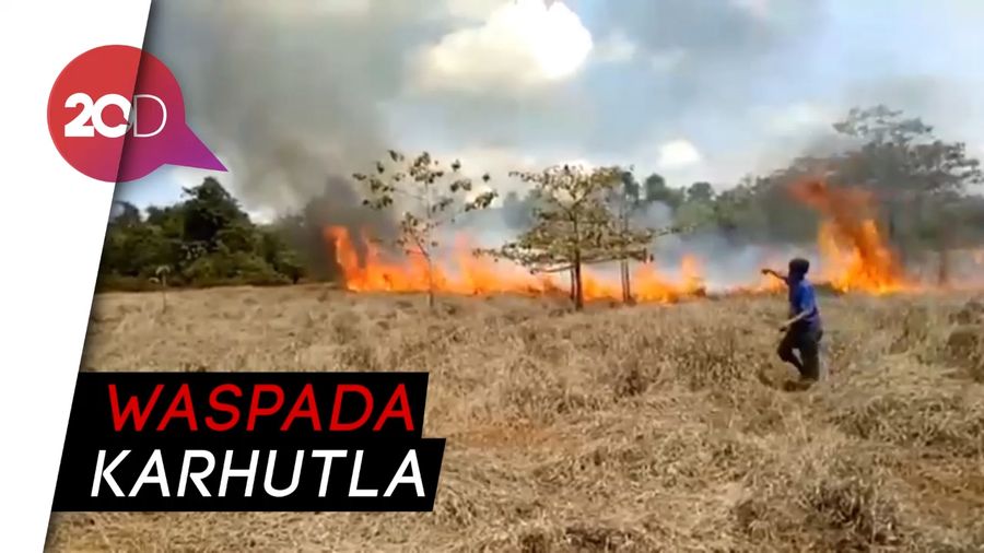 Puntung Rokok Diduga Jadi Penyebab Karhutla di Konawe