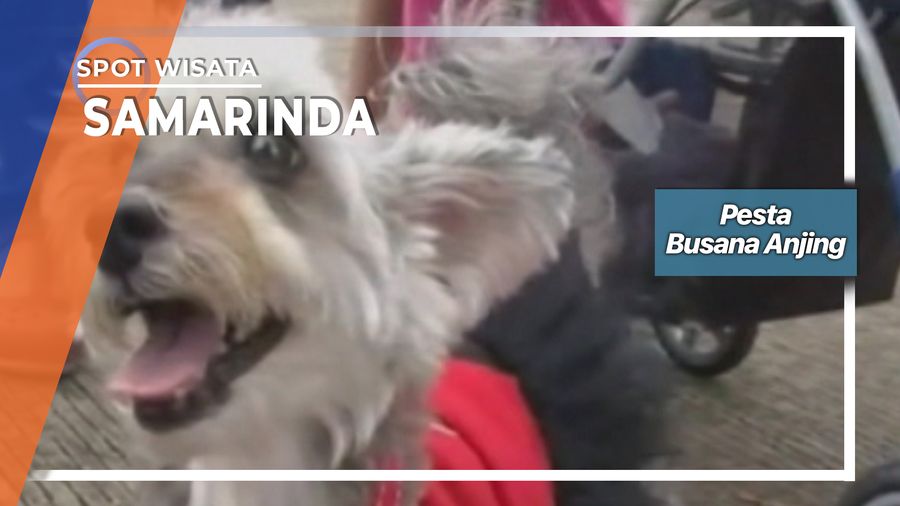 Kontes Busana Anjing Peliharaan Samarinda, Kalimatan Timur