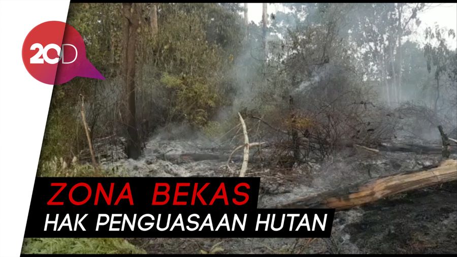 Zona Rehabilitasi TN Tesso Nilo Riau Terbakar