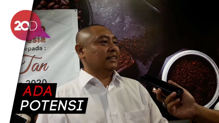 Veronica Tan Dapat Dukungan Jadi Cawalkot Medan