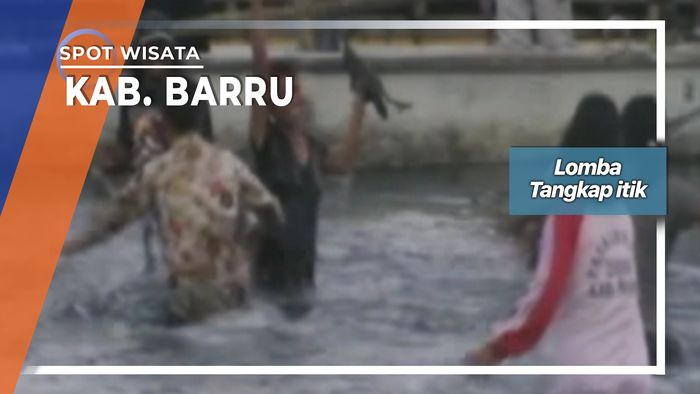 Lomba Tangkap Itik Pantai Kupa Kabupaten Barru Sulawesi Selatan