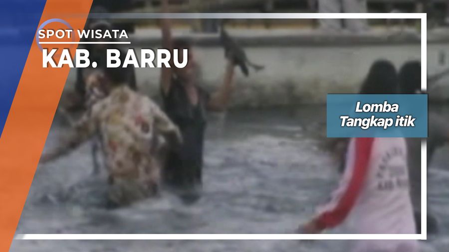Lomba Tangkap Itik Pantai Kupa Kabupaten Barru Sulawesi Selatan