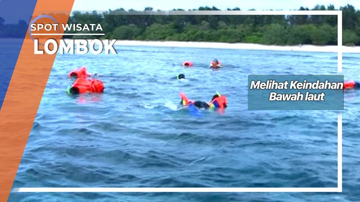 Melihat Keindahan Bawah Laut Lombok  