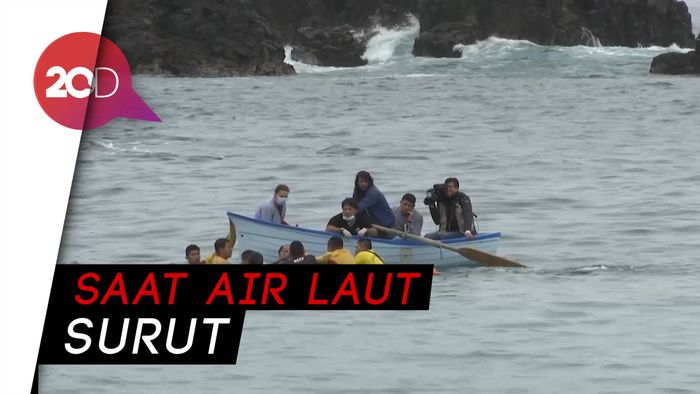 Hantam Batu, Paus Sperma Mati di Pantai San Bartolo Peru