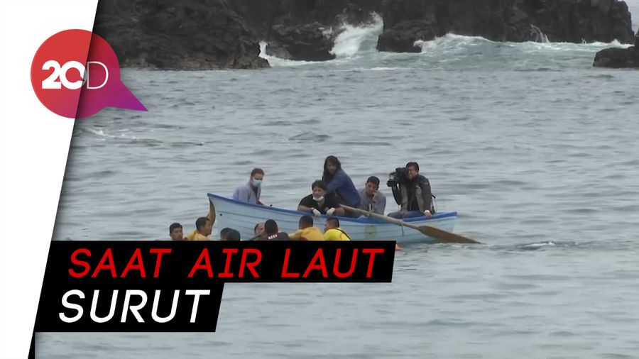 Hantam Batu, Paus Sperma Mati di Pantai San Bartolo Peru