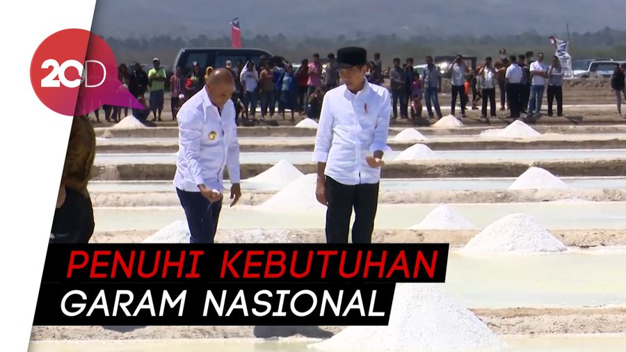 Pastikan Program Berjalan, Jokowi Perdana Panen Garam di Kupang