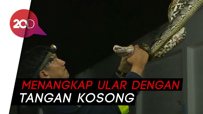 Jarang Kebakaran, Petugas Damkar di Thailand Lebih Sering Tangkap Ular