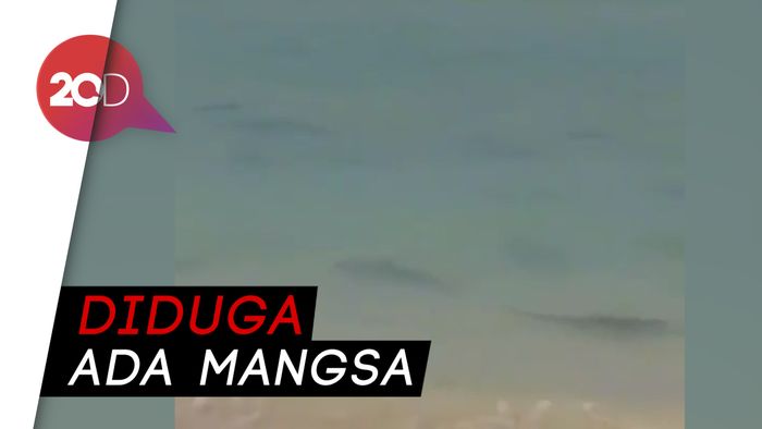 Video Kawanan Hiu Muncul di Pantai Nusa Dua 