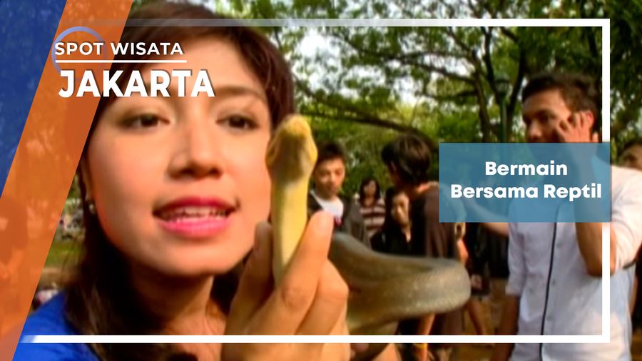 Bermain Bersama Reptil Jakarta