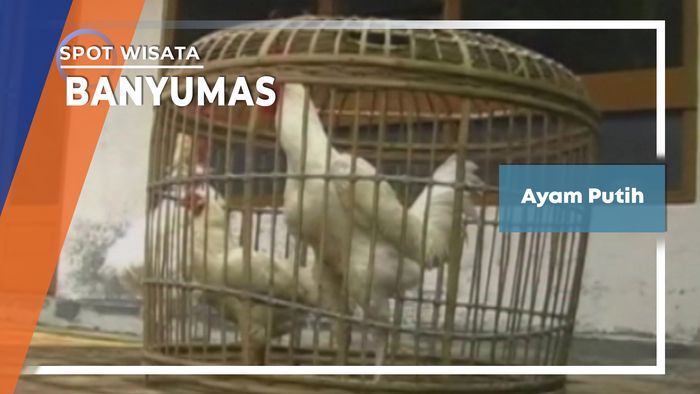 Ayam Putih, Banyumas