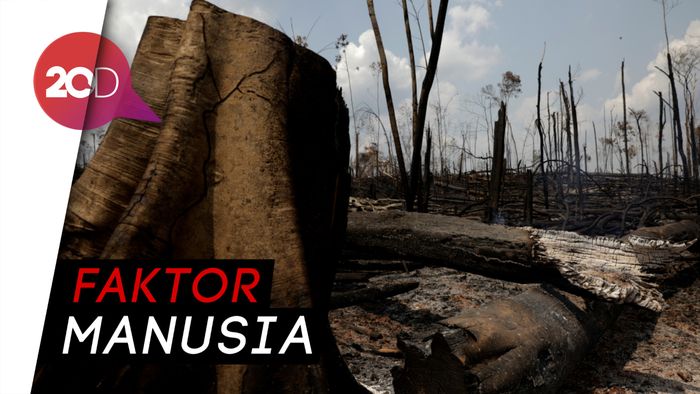 Dugaan di Balik Kebakaran Hutan Amazon